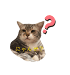 ハミーのいる生活（個別スタンプ：1）