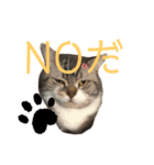 ハミーのいる生活（個別スタンプ：2）