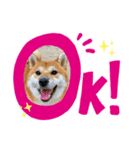 マルっちスタンプ♡（個別スタンプ：3）