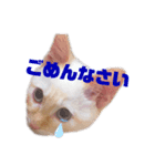 メル坊や⓵（個別スタンプ：3）