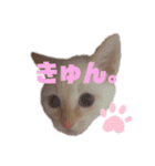 メル坊や⓵（個別スタンプ：7）