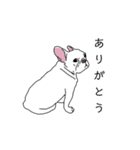 白いフレブルのうめちゃん（個別スタンプ：3）