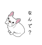白いフレブルのうめちゃん（個別スタンプ：5）