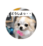 みぃと楽しい仲間たち！（個別スタンプ：1）