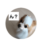 みぃと楽しい仲間たち！（個別スタンプ：2）
