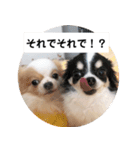みぃと楽しい仲間たち！（個別スタンプ：3）