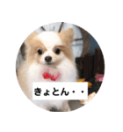 みぃと楽しい仲間たち！（個別スタンプ：4）