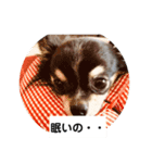 みぃと楽しい仲間たち！（個別スタンプ：5）