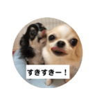 みぃと楽しい仲間たち！（個別スタンプ：6）