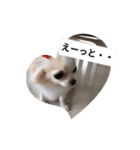 みぃと楽しい仲間たち！（個別スタンプ：7）