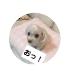 みぃと楽しい仲間たち！（個別スタンプ：8）