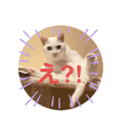 みりあ2（個別スタンプ：1）