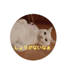 みりあ2（個別スタンプ：2）