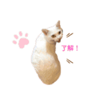 みりあ2（個別スタンプ：3）