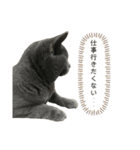 食いしん坊のルカ（個別スタンプ：9）