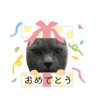 食いしん坊のルカ（個別スタンプ：13）