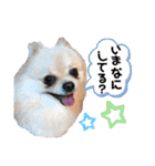 あかはるファミリー（個別スタンプ：5）
