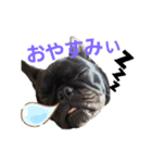 sigeさん（個別スタンプ：3）