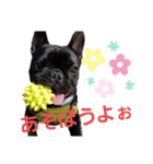 sigeさん（個別スタンプ：5）