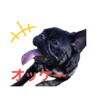 sigeさん（個別スタンプ：8）