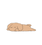 しゃべらないラッキーくん（個別スタンプ：15）