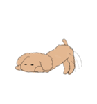 しゃべらないラッキーくん（個別スタンプ：16）