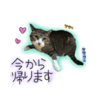酒井さんちのあずきくん2（個別スタンプ：14）