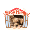 チャビくん（個別スタンプ：2）