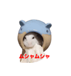 ハムスターが癒します（個別スタンプ：6）