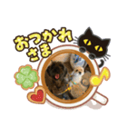 fuukaパート3ですよ（個別スタンプ：2）