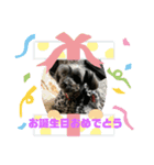 fuukaパート3ですよ（個別スタンプ：5）