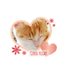 おちゃめでキュートな ねこ ねこ ねこ！！（個別スタンプ：4）