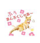 おちゃめでキュートな ねこ ねこ ねこ！！（個別スタンプ：19）