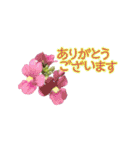 春の花 あいさつ Ver.4（個別スタンプ：15）