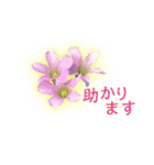 春の花 あいさつ Ver.4（個別スタンプ：16）