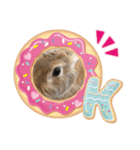 ふくたろうのうさちゃんスタンプ6（個別スタンプ：6）
