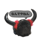 黒パグとトイプードル（個別スタンプ：8）