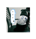 黒パグとトイプードル（個別スタンプ：27）