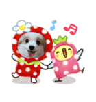 武居familiar2（個別スタンプ：7）