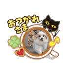 武居familiar2（個別スタンプ：9）