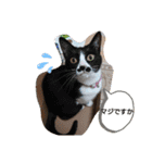 武居familiar2（個別スタンプ：13）