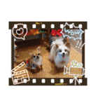 武居familiar2（個別スタンプ：15）