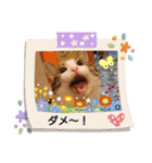 武居familiar2（個別スタンプ：17）