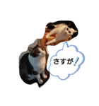 武居familiar2（個別スタンプ：21）