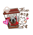 武居familiar2（個別スタンプ：22）