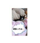 武居familiar2（個別スタンプ：23）