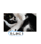 武居familiar2（個別スタンプ：25）