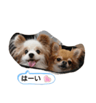 武居familiar2（個別スタンプ：27）
