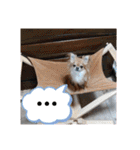 武居familiar2（個別スタンプ：28）