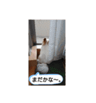 武居familiar2（個別スタンプ：30）